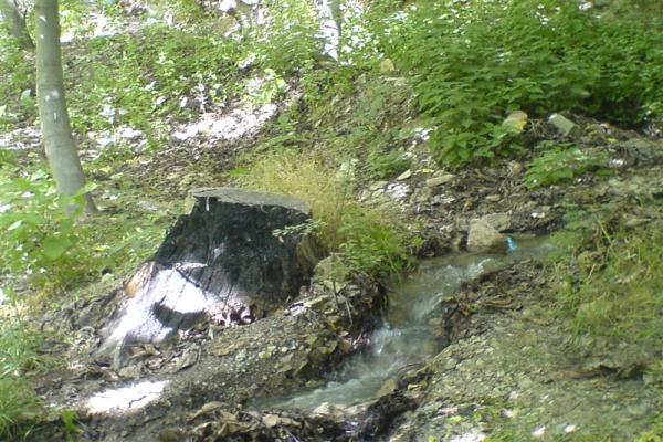 روستاهای توریستی تهران + تصاویر