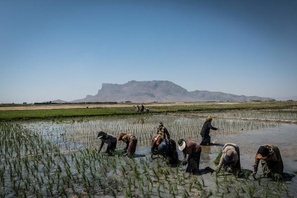 دشت سیلاخور لرستان + تصاویر