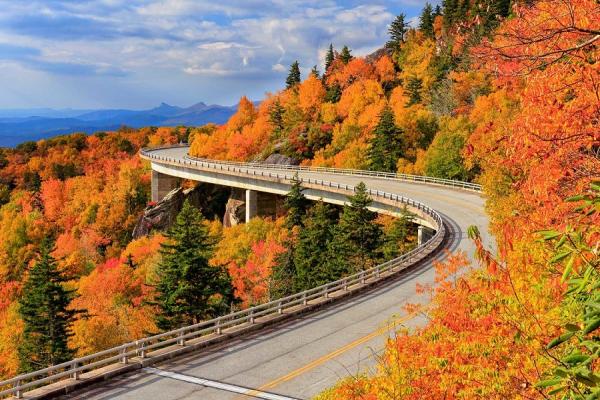 جاذبه های فوق العاده گرجستان در پاییز + تصاویر
