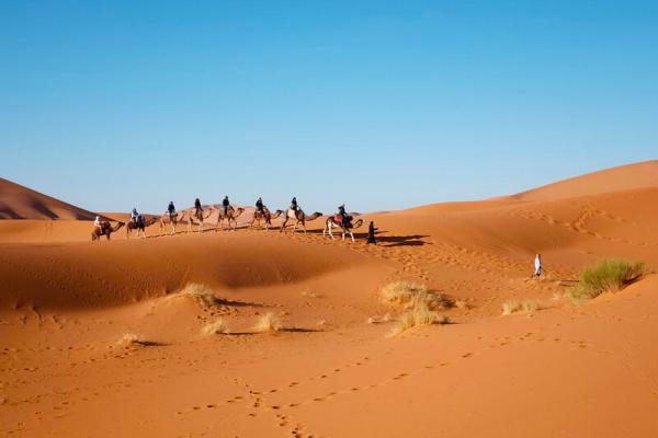 کویرنوردی در یزد به چه صورتی است؟
