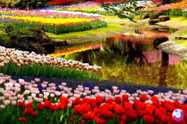 رنگارنگ ترین نقطه روی کره زمین در نوروز1403 کجاست؟
