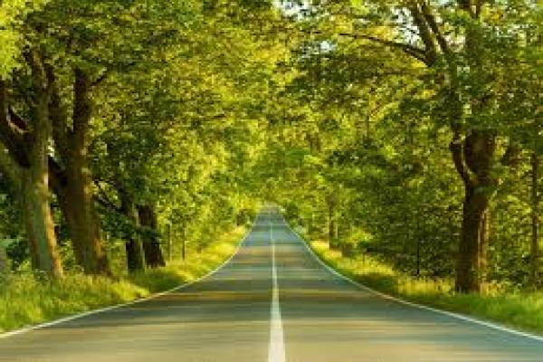 پارک جنگلی چاه کوتاه , بوشهر+تصاویر